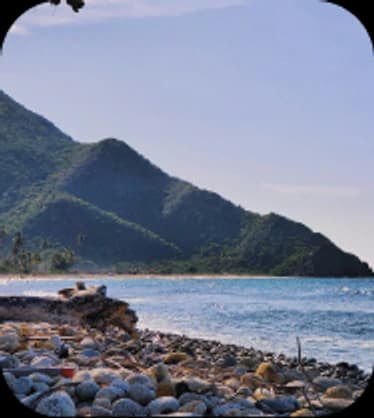 Río y paisaje de montaña para la sección del problema de VuelosVE
